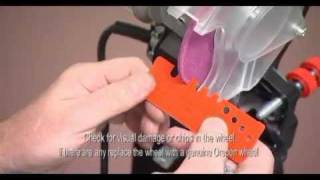 How to Sharpen Chain Saw Chains Oregon Chainsaw Sharpening Guide [upl. by Tzong663]