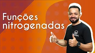 Funções nitrogenadas  Brasil Escola [upl. by Brag]