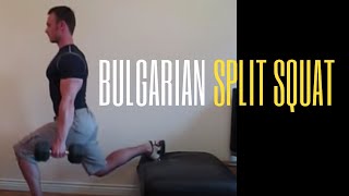 Bulgarian Split Squat [upl. by Bathsheba]