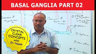 Basal Ganglia  Neuroanatomy  Part 23 [upl. by Notlok885]