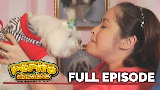 Pepito Manaloto The Manalotos new fur babies  Full Episode 18 [upl. by Earezed183]