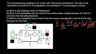 Pedigree probability practice problem explained [upl. by Zurek]