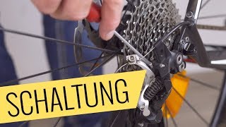 Shimano Schaltung richtig einfach amp schnell einstellen  Fahrradorg [upl. by Wong]