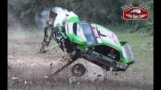 BEST OF RALLY 2019  BIG CRASHES amp MISTAKES [upl. by Emlin]