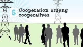 The Cooperative Business Model — The Seven Cooperative Principles [upl. by Ulrich]