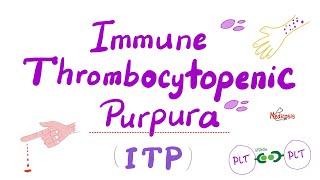 Immune Thrombocytopenia ITP — Most COMPREHENSIVE Explanation — Hematology [upl. by Cairistiona436]