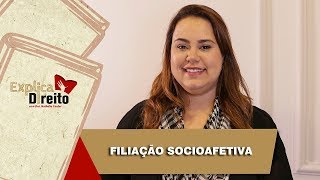 Explica Direito Filiação Socioafetiva  2019 [upl. by Nallid]