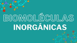 Biomoléculas inorgánicas CLASIFICACIÓN Y FUNCIÓN [upl. by Tserof]