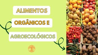 Alimento orgânico e agroecológico tem diferença [upl. by Lika287]