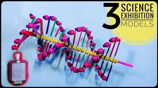 3 Easy DNA MODEL PROJECT Ideas  Science Exhibition Models [upl. by Anahsak888]