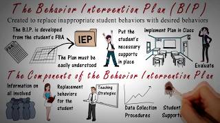 Behavior Intervention Plan BIP Overview [upl. by Bell]