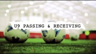 Soccer Drills Passing amp Receiving U9 [upl. by Eeresed]