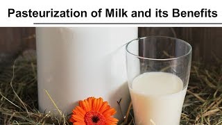 Pasteurization of Milk and its Benefits [upl. by Dleifyar]