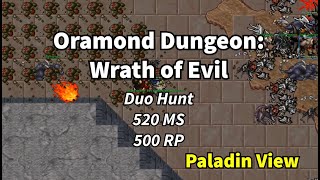 Duo Hunt  Paladin View  Oramond Dungeon  Wrath of Evil  5 kkh  150 xp 600 kh profit [upl. by Tsepmet111]