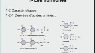 Généralités dendocrinologie Physiologie [upl. by Geoffry]