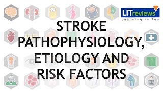 Stroke Education  Causes and Effects [upl. by Beore440]