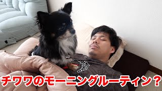 フィッシャーズの朝ってどんな感じ？マサイの愛犬チクワと朝ごはん！ [upl. by Daffy]