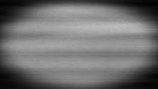 Scanline grain flicker overlay for editing [upl. by Ailugram113]