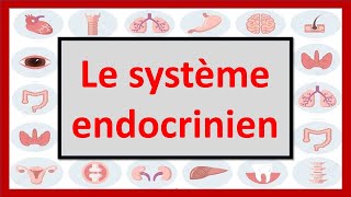 🔴ENDOCRINOLOGIE  LE SYSTÈME ENDOCRINIEN EN 06 MINUTES [upl. by Alemaj]