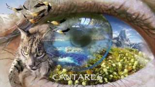 CANTARES [upl. by Hannah]