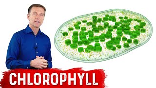 9 Proven Benefits of Chlorophyll [upl. by Hako]