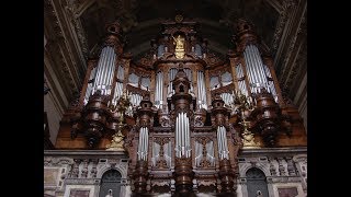 Reger  Ein feste Burg Berlin Cathedral Sauer Organ 1905 [upl. by Yesdnil602]