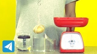 Archimedes Principle demonstration  Buoyancy  Physics [upl. by Otsirave]