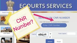 What Is CNR Number In Detail  How To Check Court Case Status With CNR Number  Ecourt Services [upl. by Tloh642]