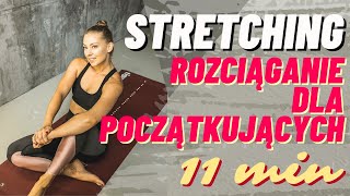 Stretching dla początkujących rozciąganie  Paula Piotrzkowska [upl. by Genesia]