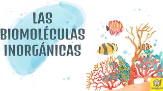 Biomoléculas Inorgánicas  Para niños [upl. by Ahsenet]