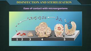 Disinfection and Sterilization [upl. by Acirrej551]