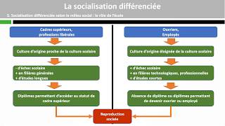 La socialisation différenciée [upl. by Markowitz242]