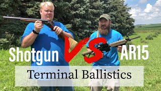 12ga Shotgun Vs Ar15 Terminal Ballistics [upl. by Lyndel]