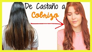 Cómo PINTAR el cabello COBRIZO💆‍♀️ SIN DECOLORAR 👩‍🦰 [upl. by Edlun]