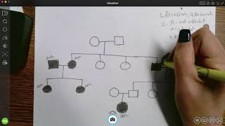 Genotypes and pedigrees [upl. by Goodspeed421]