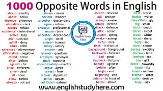 1000 Opposite Words in English  Antonym Words List  Common Opposites [upl. by Elvie864]