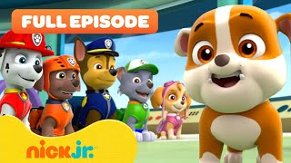 Rubble Joins the PAW Patrol and the Pups Save a Walrus  FULL EPISODES  Nick Jr [upl. by Atte]