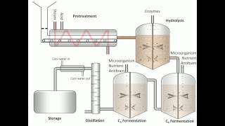 Process of Fermentation [upl. by Na]