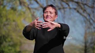 Qigong Full 20Minute Daily Routine [upl. by Jorry]