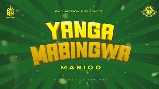 Marioo  Yanga Mabingwa Lyric Video [upl. by Enirhtac]