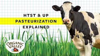 UP and HTST Pasteurization Explained  Ask Organic Valley [upl. by Gabler]