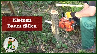 Einen kleinen Baum fällen [upl. by Adna558]