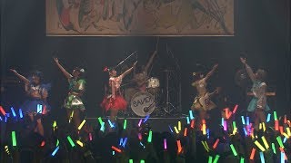 バンドじゃないもん！「ピンヒール」LIVE新木場STUDIO COAST [upl. by Llertnahs913]