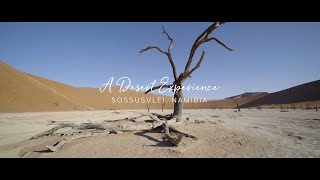 A Desert Experience  Sossusvlei Namibia [upl. by Nnaassilem]