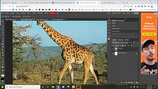 How to use the Zoom Selecting CopyampPaste and Transform tools in Photopeacom [upl. by Ethben]