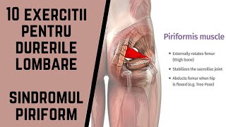 10 EXERCITII PENTRU DURERILE LOMBARE  MUSCHIUL PIRIFORM  Ovidiu Kurti [upl. by Casaleggio58]