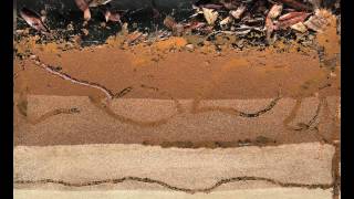 Bioturbation  Worms at Work [upl. by Korey]