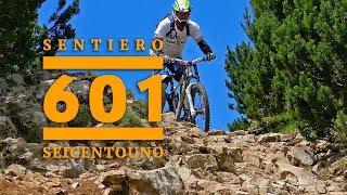 Sentiero 601 Gardasee Downhill Freeride Mountain Bike Trail Lago di Garda Altissimo MTB [upl. by Orabelle]