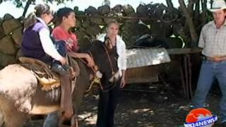 Donkeys become ride to school for Children in rural Mexican town [upl. by Berte]