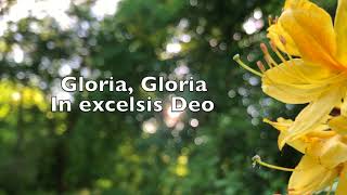 The Gloria In Excelsis Deo Clap Clap Anderson with lyrics [upl. by Oric]